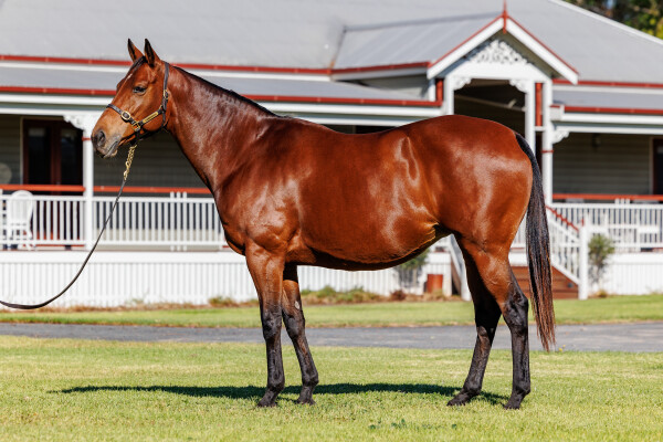 Lot 87: Smart Missile / Wecansay Mak