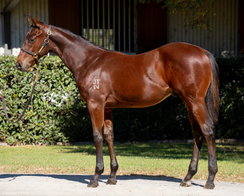 Lot 32: Home Affairs / Smart Coupe