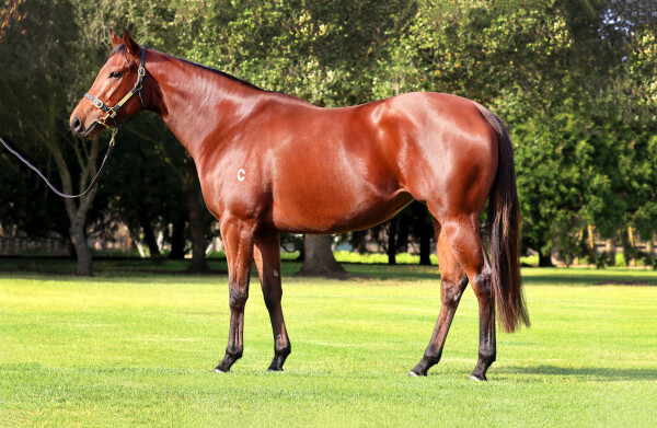 Lot 57: Wootton Bassett (GB) / Extensible
