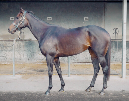 Lot 35: Hellbent / Whatalovelyday
