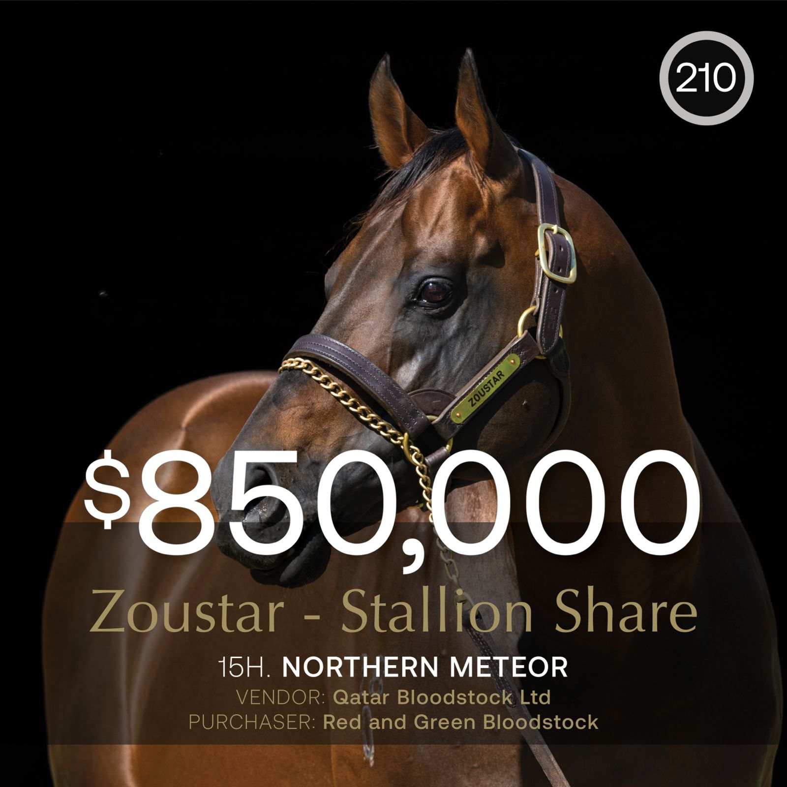 Zoustar share tops successful April (Late) Sale at $850,000
