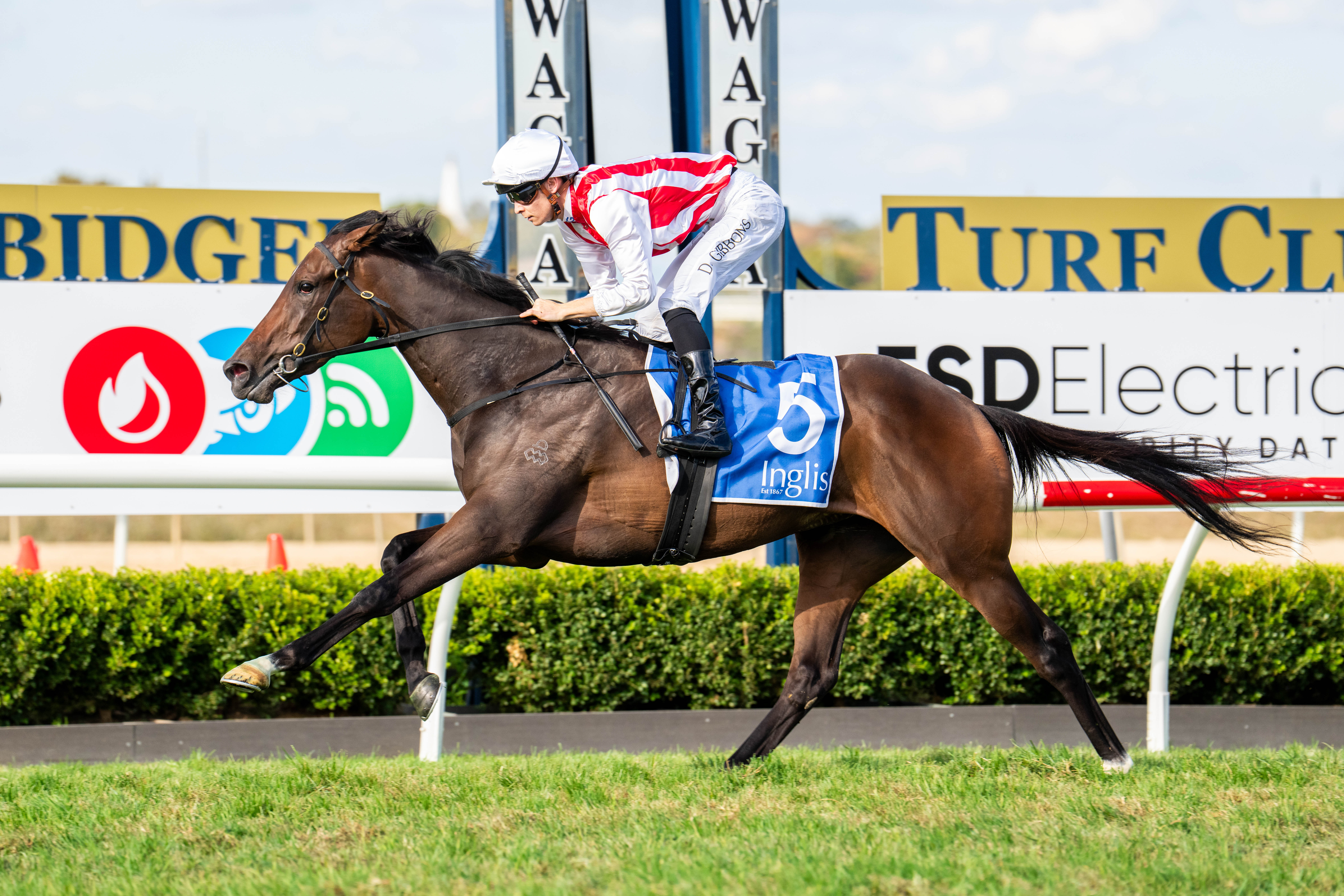 Global Goal scores dominant win in Inglis Challenge