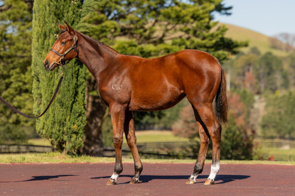 Lot 275: Ozzmosis / Germanotta