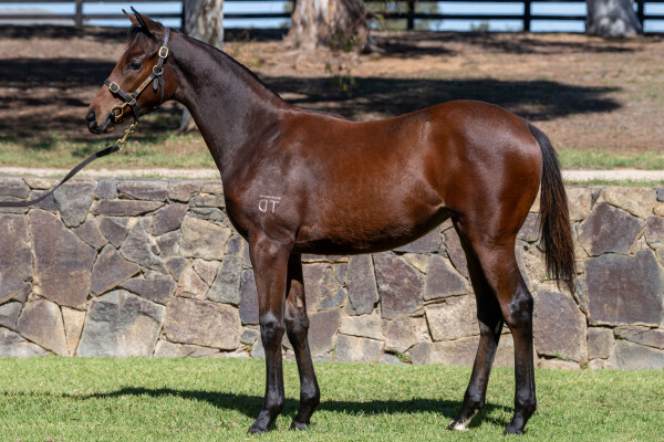 Lot 381: Bivouac / Mine Two
