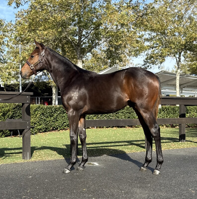 Lot 360: Artorius / Link to My Heart (USA)