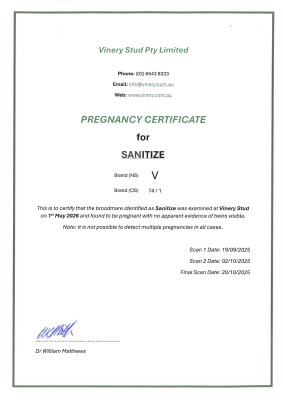 Pregnancy Certificate for Lot 1