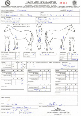 Pregnancy Certificate for Lot 8