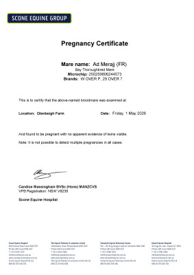 Pregnancy Certificate for Lot 27