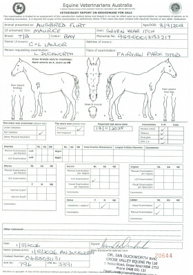 Pregnancy Certificate for Lot 34