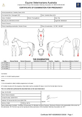 Pregnancy Certificate for Lot 42