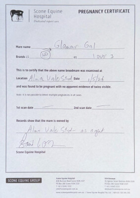Pregnancy Certificate for Lot 62