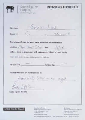 Pregnancy Certificate for Lot 65