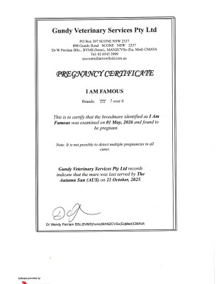 Pregnancy Certificate for Lot 69