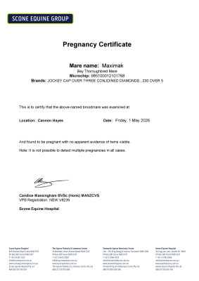 Pregnancy Certificate for Lot 87