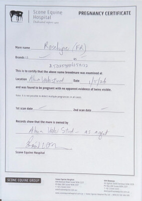 Pregnancy Certificate for Lot 103