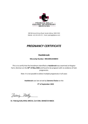 Pregnancy Certificate for Lot 112