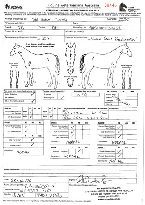 Breeding Report for Lot 15