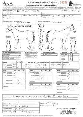 Breeding Report for Lot 23