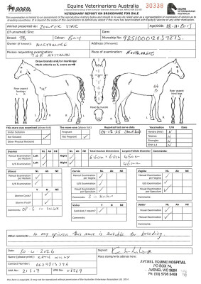 Breeding Report for Lot 25