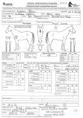 Breeding Report for Lot 30