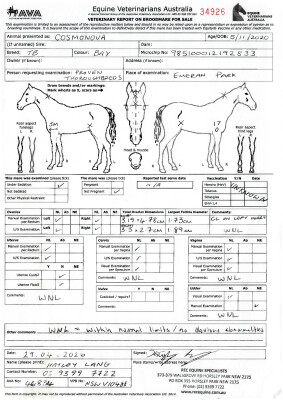 Breeding Report for Lot 47