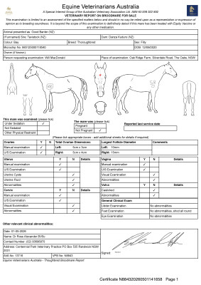 Breeding Report for Lot 63