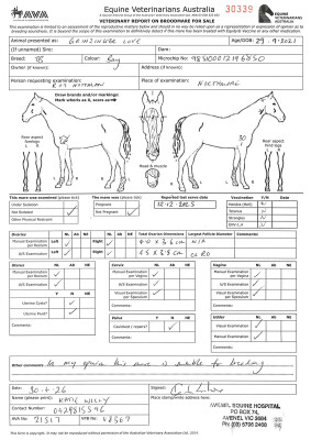Breeding Report for Lot 66