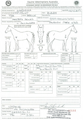 Breeding Report for Lot 75