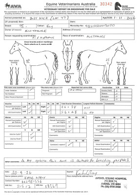 Breeding Report for Lot 77