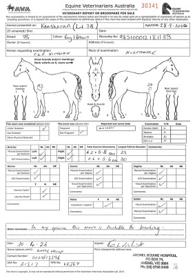 Breeding Report for Lot 78