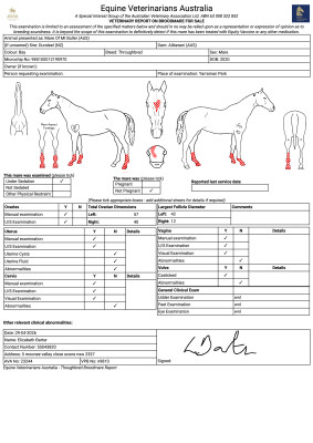 Breeding Report for Lot 86