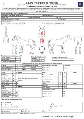 Breeding Report for Lot 97