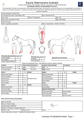 Breeding Report for Lot 101