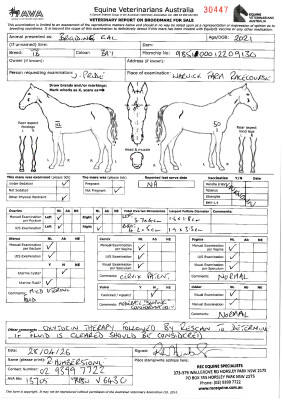 Breeding Report for Lot 107