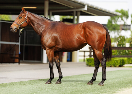 Lot 49: Zoustar / Warranty