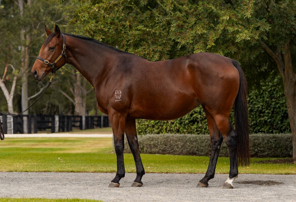Lot 39: Pierro / All Cerise
