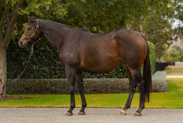 Lot 61: No Nay Never (USA) / Fursa
