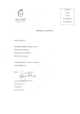 Pregnancy Certificate for Lot 2