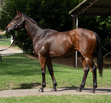 Lot 47: Zoustar / Time Awaits