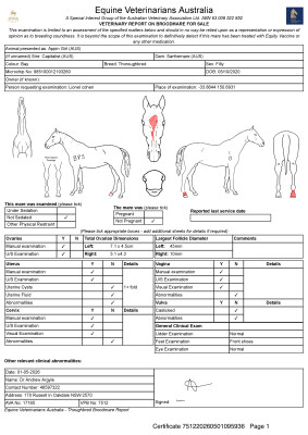 Breeding Report for Lot 31