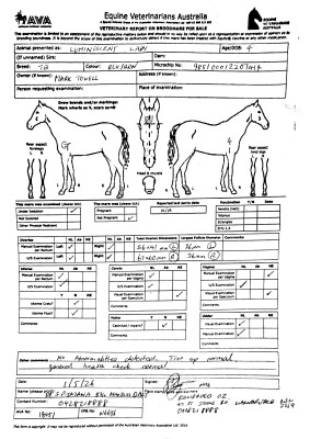 Breeding Report for Lot 83