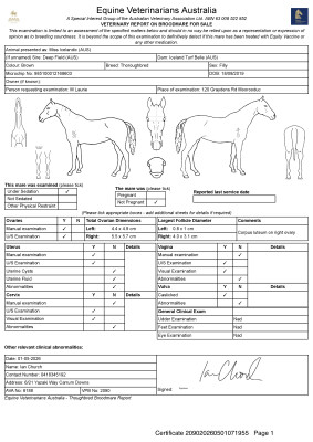 Breeding Report for Lot 89