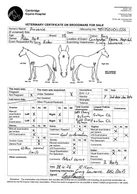 Breeding Report for Lot 100