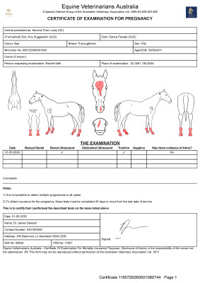 Pregnancy Certificate for Lot 4