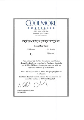 Pregnancy Certificate for Lot 38