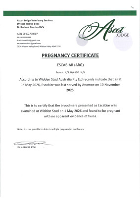 Pregnancy Certificate for Lot 55