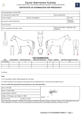 Pregnancy Certificate for Lot 94