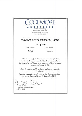 Pregnancy Certificate for Lot 61
