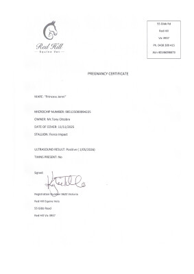 Pregnancy Certificate for Lot 99