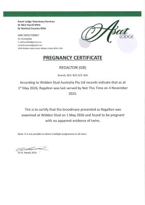 Pregnancy Certificate for Lot 102